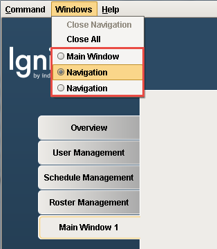 Duplicate Navigation Windows