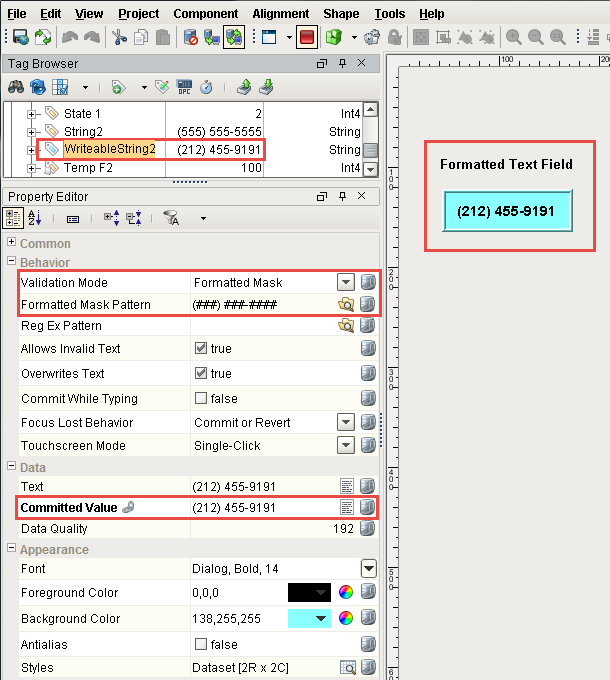 Formatted Text Field Example